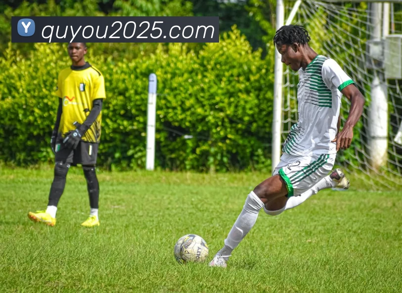 趣游官网全站App